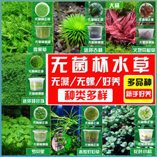 ����o����ˮ���쾰�~��ţë�ڶ� ſ�ذ����齷����ˮ�����~����