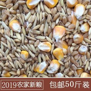 �������s�Z�u���Bʳ�ѽ��r��50ι�u������ϹȌ���С���Z���Z�b