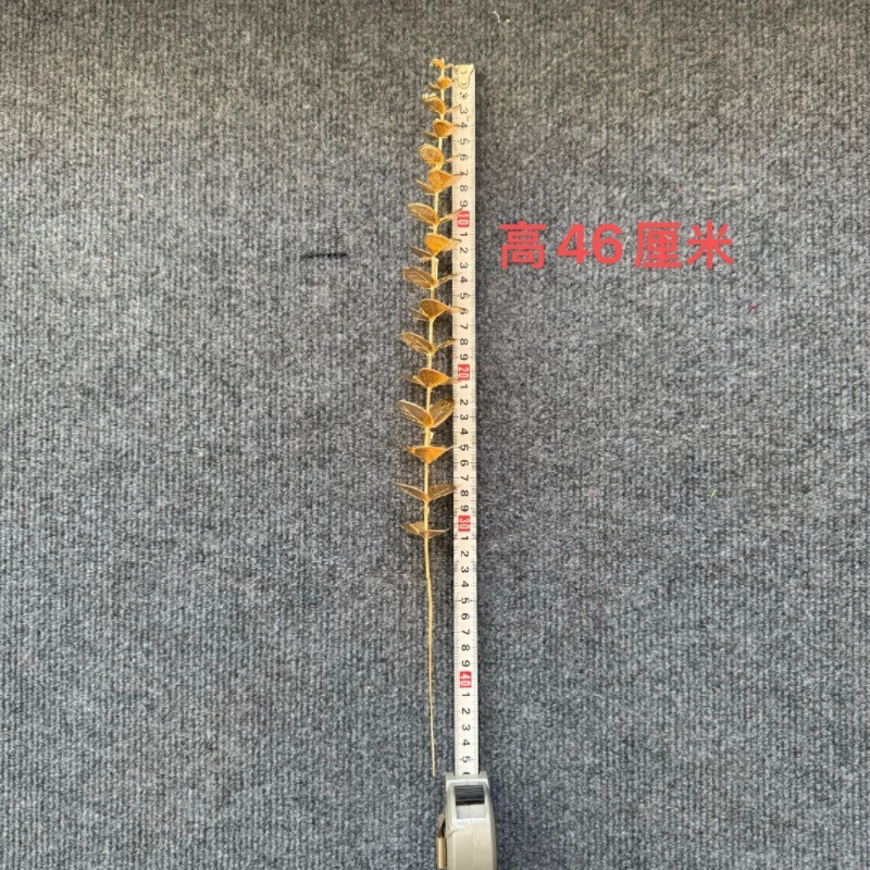 金色尤加利仿真花 新年客厅摆件装饰福桶银杏叶金色系年宵花批发|undefined