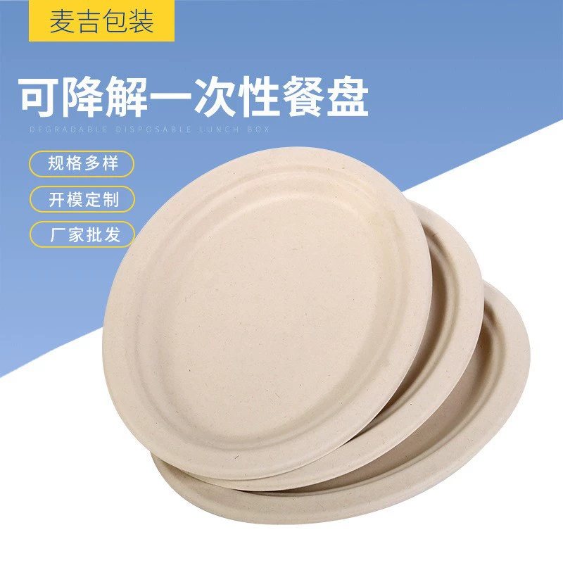 Целлюлозная обеденная тарелка Вечеринка Барбекю Тарелка для торта Детский сад Тарелка для рисования ручной работы Разлагаемая бумажная тарелка