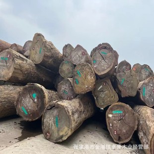 �ϰ�˹ �ϰ�˹ԭľ��� �T�� �T��ԭľ���޼t���}�� �t���� Ҏ��