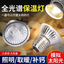 保温灯芦丁鸡取暖灯泡爬宠加热乌龟晒背龟缸专用太阳uvb补钙灯泡