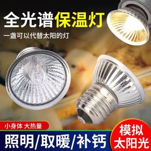 Heat preservation lamp rutin chicken heating bulb climbing pet heating turtle drying back turtle jar special sun uvb calcium bulb