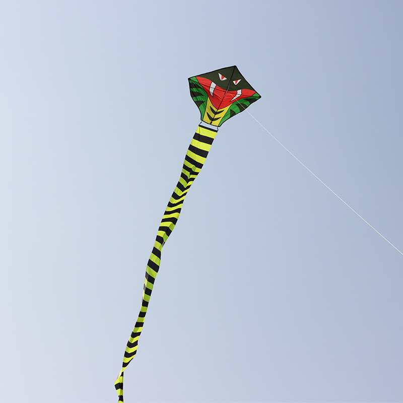 Snake Kite, New Green Snake Long Tail Kite, Adult and Children Kite, Large Wind-Easy Flying Kite, Wholesale