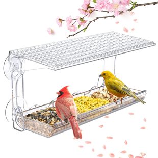 Window Bird Feeder for Outdoors ͸���B�ݑ���Ұ�B�^�p