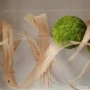展厅婚庆大型竹排竹编