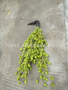 ���晉�ƹ�ģ�͒�����Ƙ�����Ꭷ�L��ٙ��ƹ����Ҿ��b�ֲ��