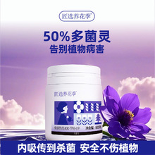 匠选养花季50%多菌灵可湿性粉剂月季多肉花卉园艺农药杀菌剂