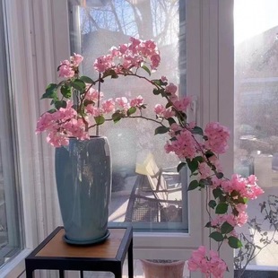 �h֦���z����÷��ɫ�ļ��_���̨�����Ϙ�Ǥ������B�S��ֱ�N���]