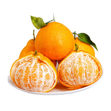 �����Ĵ��ҰҸ̲�֪�𮔼����rˮ���������θ̳��ٷ��ָ����l���l