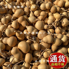 С���Jһ��؛Դ�����^��Ȼ����С����������ؔ����湩��