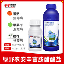 �GҰ�r��1.2%�����������}����������������ή�����丯����������