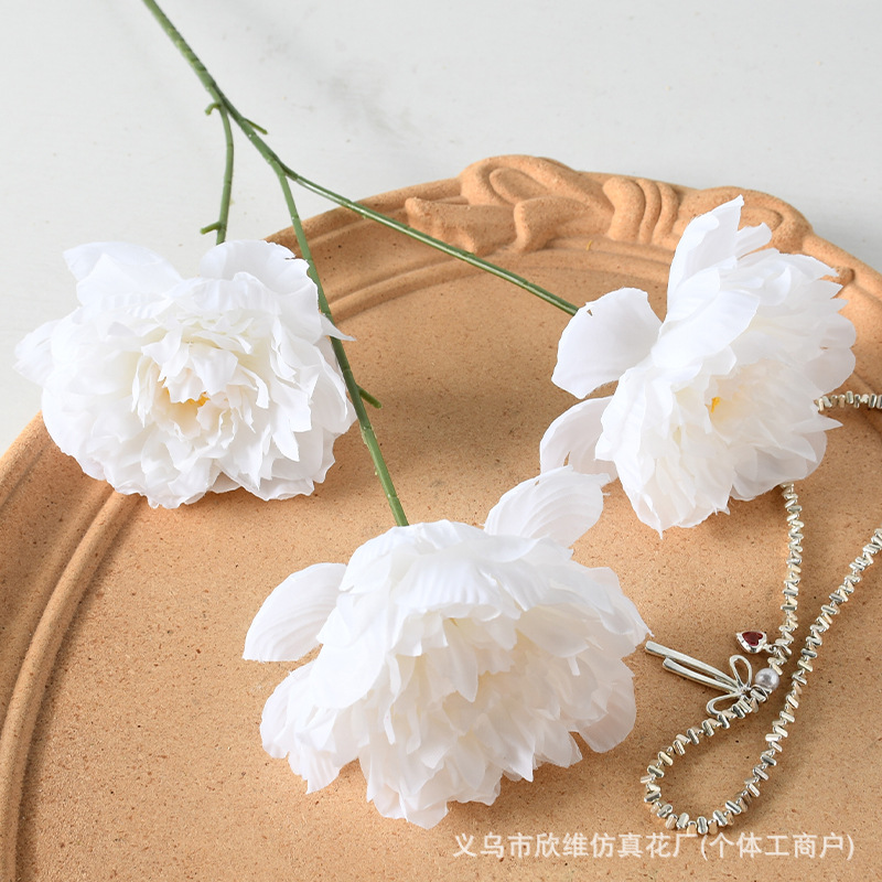 3头芍药白色