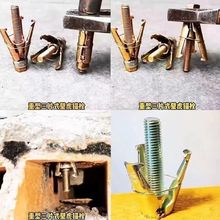 ƬƬڻƽ|ͱڻÛ˨  pwuÛݽz