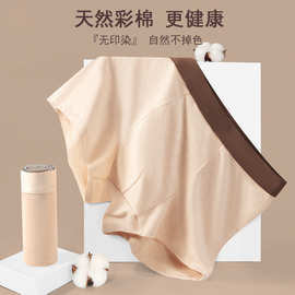 男士纯棉内裤透气网孔底裆无印染彩棉平角裤大码宽松舒适四角裤头