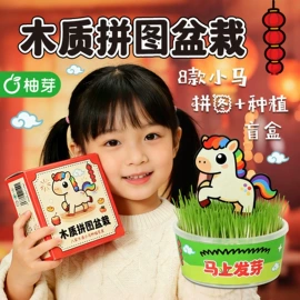 植物工艺品;栽培基质;花盆容器