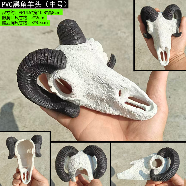 PVC 블랙 혼 양 머리 중간 크기
