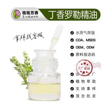 天然丁香罗勒精油 蒸馏提取丁香罗勒精油 植物单方油厂家加工批发