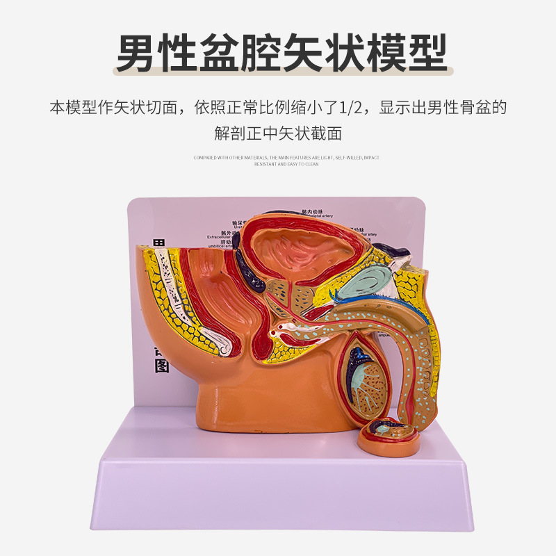 ����Ů����ǻʸ״����ģ��Ů����ֳ����ϵͳС��Ů����ǻ������ʾ