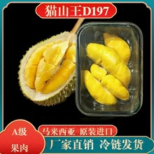 特级马来西亚D197猫山王榴莲果肉原装进口当季净重400g冷冻锁鲜