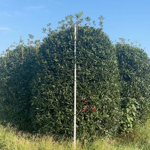 ����ֱ�l�ػ\�����������ļ�����G���^�p��ľ�ڷ�M�Gֲ