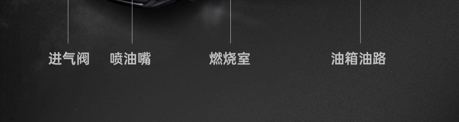 GoodeWey Fuel Additive for Carbon Deposit Removal, S3 Catalytic Converter Additive, PEA Concentrate, Engine Gasoline Cleaning Agent