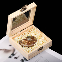 ��Ȼ�߲���ؐ���[��ˮ���Vʯ���ݹ����ﻯʯ�˱���ͯ��ʯ�^�Y��