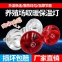 养殖兽用加热取暖保温灯