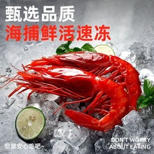 刺身特大红魔虾鲜活速冻可刺身非进口舟山海鲜大虾中国大陆饲料