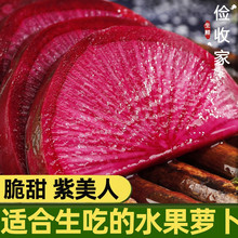 紫美人水果萝卜甜脆水果型青红皮凤梨沙地潍坊心里美萝卜新鲜包邮