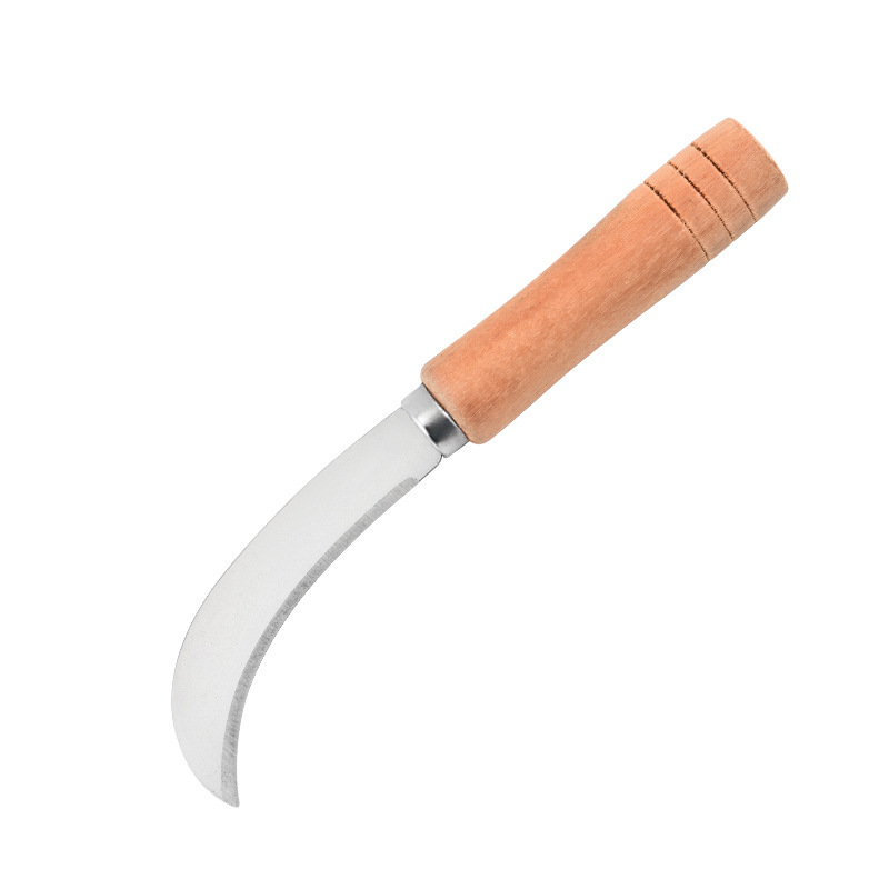 Cuchillo de frutas de acero inoxidable doméstico guisa