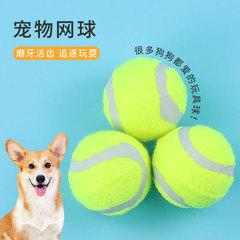 犬のおもちゃボール、噛みつきにくい小型犬、子犬、屋外ボール、大型犬トレーニングボール、馬犬臼歯弾性ペット犬