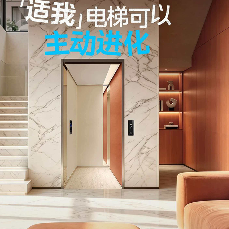 自建房家用小型电梯别墅升降机曳引式静音室内观光玻璃龙门架电梯