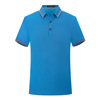 Polo, overall, T-shirt, 190 gram, with short sleeve, with embroidery