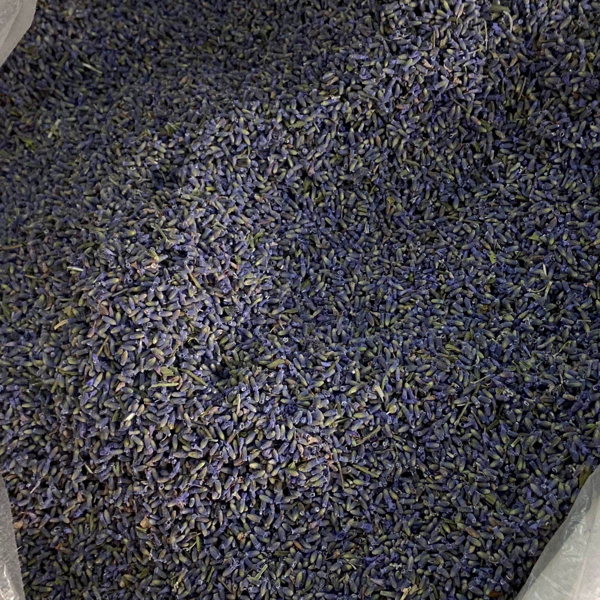 Dried Lavender Buds Xun Yi Cao 1 lb Natural Aromatic Herb for Sachets Pillows and Herbal Blends in use