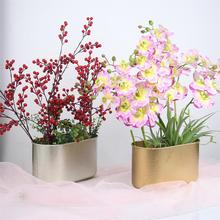 ��������Ͱ���ٸ�Ͱ���ں����m��廨���_�I���w�����b���Ʒ����