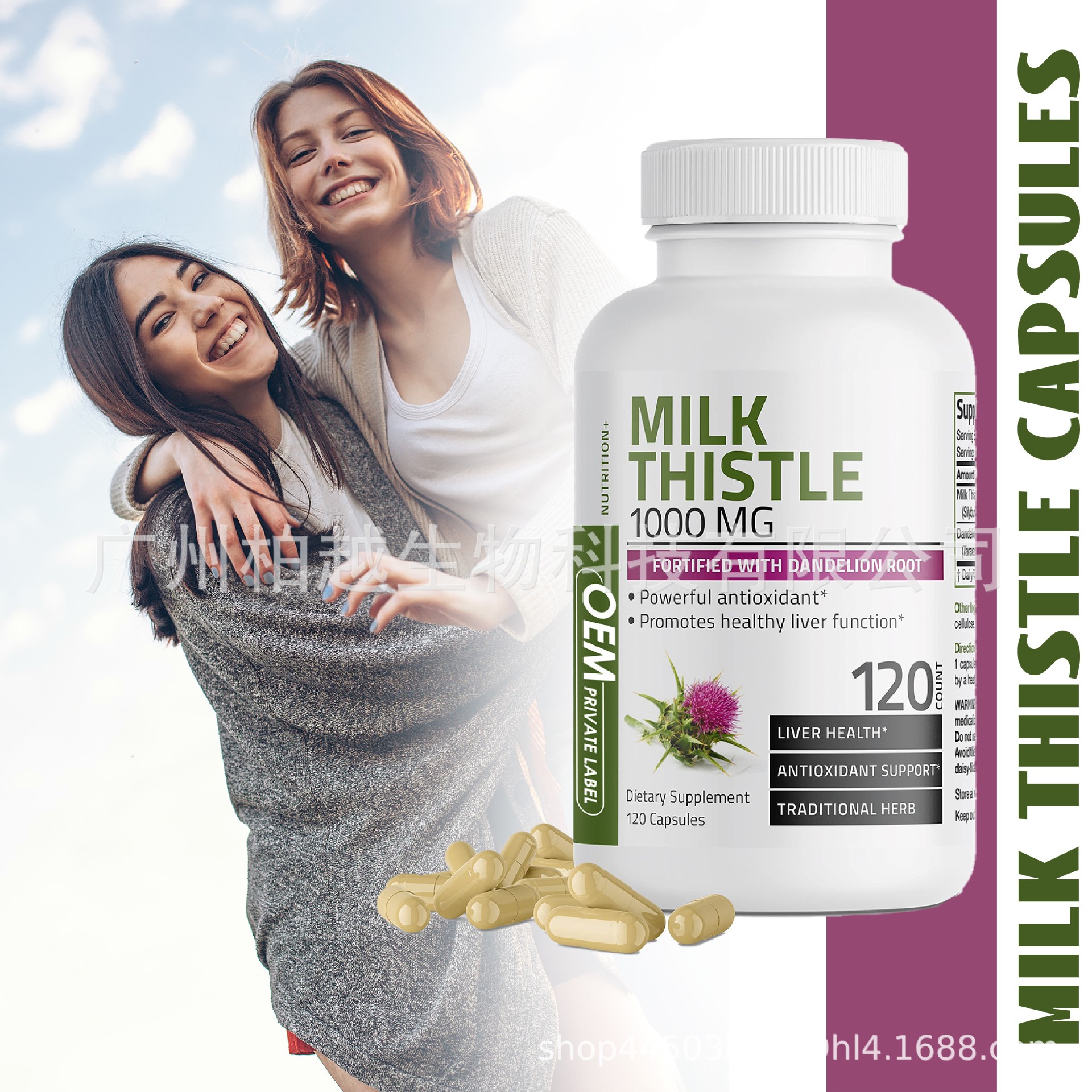 现货奶蓟草胶囊MILK THISTLE CAPSULES 蒲公英根肝脏补充剂水飞蓟-阿里巴巴