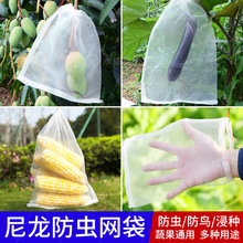 防虫防鸟网袋专用神器草莓防果蝇果树袋葡萄瓜果蔬菜水果套袋网罩