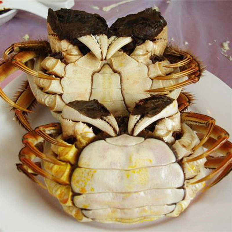 eating_in_wuhan_1403538_502972