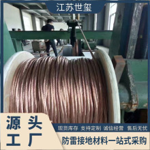 铜包钢放电板500*500*5 国标铜绞线1*50mm² 厂家 纯铜绞线