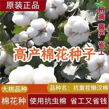 ߮a޻NӿxԭS|޻NӰɫ޻rԺ