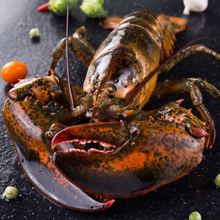 ������ʿ�D���r1��9�ﳬ����r�����r���ô����͏d����һ�����l