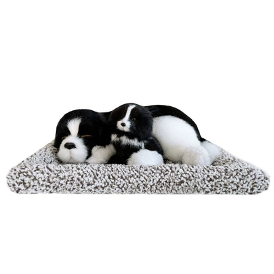 Aktiv kömürlü qoxu uducular – Dog Bamboo Charcoal Bag Carbon