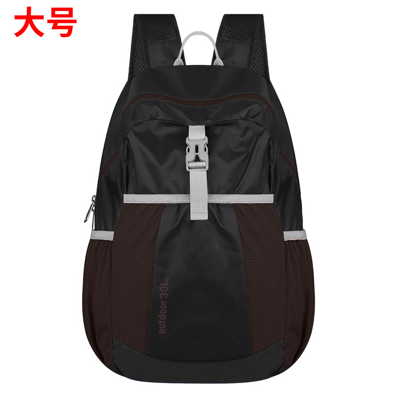 흑갈색 대형