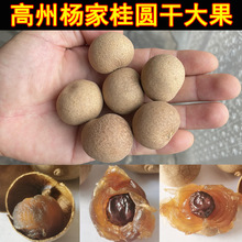 桂圆干高州大果肉厚核小龙眼干货香甜泡水即食新品杨家包邮500g批