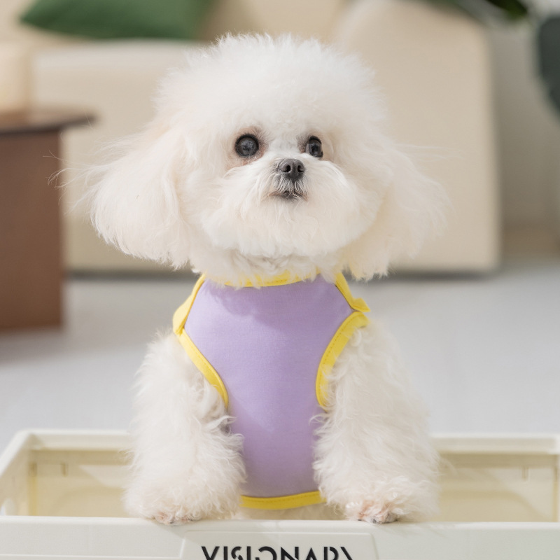 Primavera y verano perros monstruos chaleco de solapa perros pequeños y medianos primavera Teddy Panda ropa ropa de mascotas