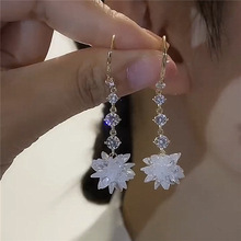 气质超仙水晶流苏冰花高级感耳饰女显脸瘦2023新款百搭精致耳环潮