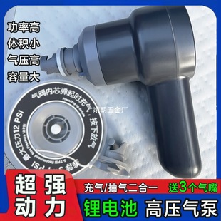 Old Customer Generation Electric Pump Brushless Pump 113-119P-152-133P-305P