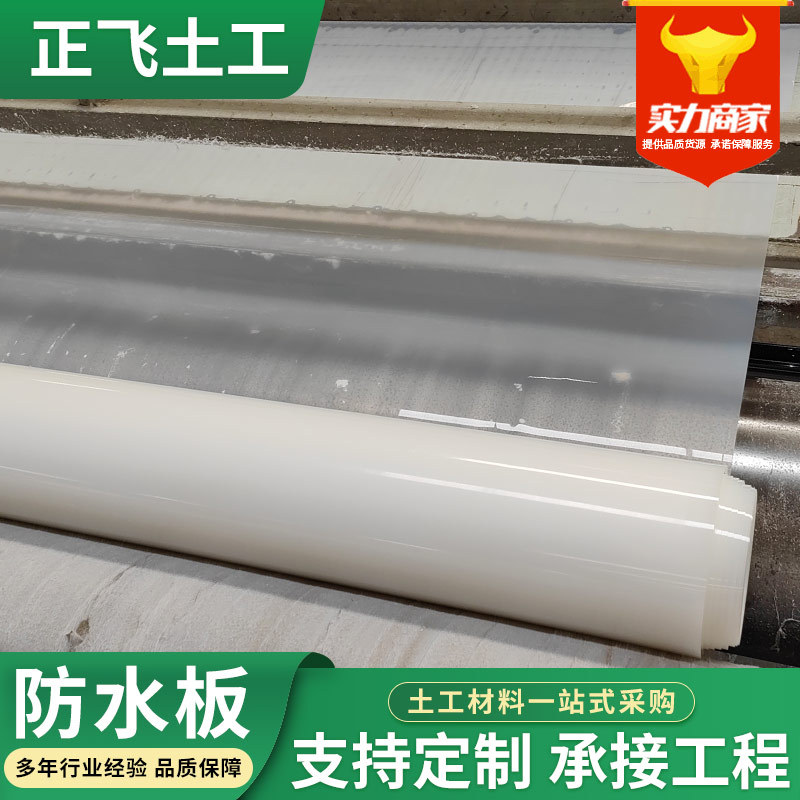 防水板EVA铁路工程地铁涵洞吊带防水板eva白色土工膜隧道防水板