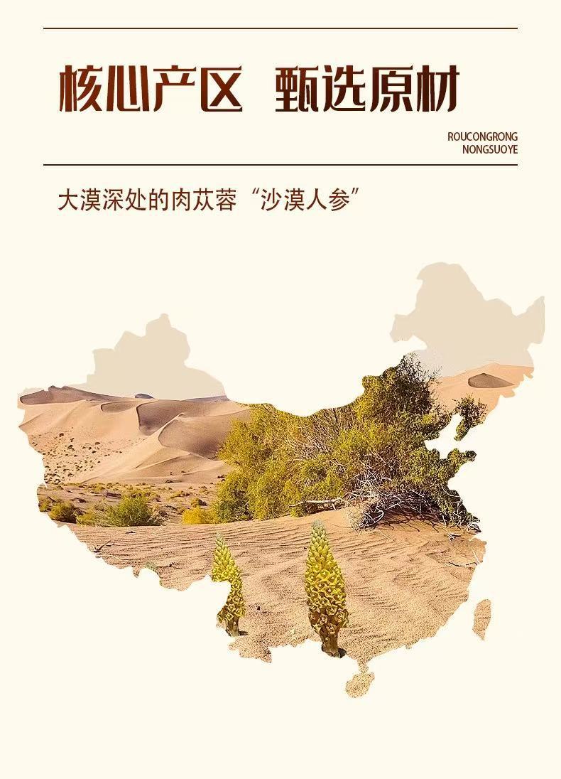 Cistanche Concentrated Oral Liquid Rou Cong Rong 100ml Herbal Tonic Drink 10ml x 10 Vials key features
